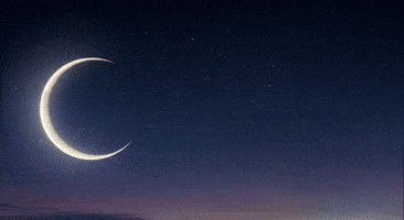 EclipseFND witch cow everything eclipse GIF