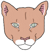 Mountain Lion Cougar Sticker by wrsartist