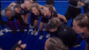 Field Hockey Wildcats GIF by Northwestern Athletics