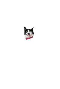 Oh My God Omg Sticker