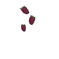 CalitoGang yummy fruits parrot berries Sticker