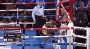 toprank fight boxing fighting espn GIF