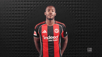 Eintracht Frankfurt No GIF by Bundesliga
