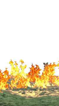 Inspire Social Media Sticker by Robodrone