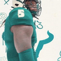 Sport You Stink GIF by USF Athletics