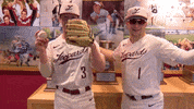 Baseball Johnson GIF by Lafayette Leopards