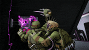 nickelodeon GIF by Teenage Mutant Ninja Turtles