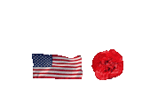 Memorial Day Thank You Sticker by Vinnie Camilleri