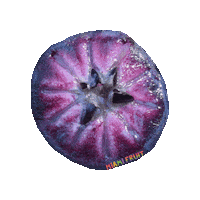 Tropical Fruit Sticker by Miami Fruit