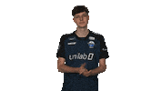 Sc Paderborn 07 Clapping Sticker by Bundesliga