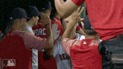 Sport Baseball GIF by MLB Network
