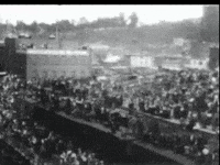 Parade Edison GIF