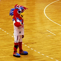 High Five Handball Superliga GIF by Superliga