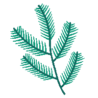 Christmas Pine Sticker by avamay
