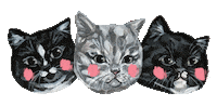 Art Cat Sticker