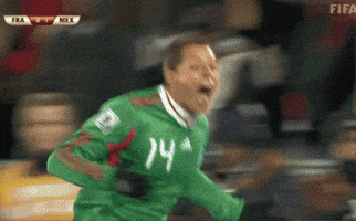World Cup Football GIF