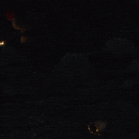 soydavidfelipe cartoon mouse raton srfeng GIF