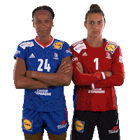 Ffhandball Sticker by Fédération Française de Handball