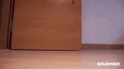 Dog Buddy GIF by Squembri