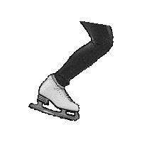 Schaatsen Sticker by deblazers