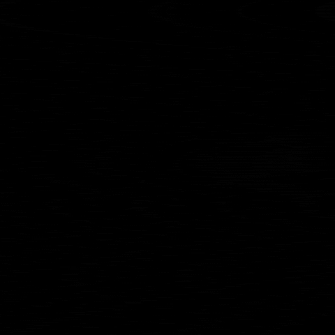 spikesk9fund workingdog spikesk9fund workingdogs spikesk9 GIF