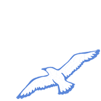 Beaufortbonnet Sticker by The Beaufort Bonnet Company