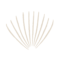 Beaufortbonnet Sticker by The Beaufort Bonnet Company