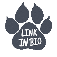 Bearpaw Shoes Sticker by BEARPAW