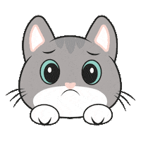Cat Reaction Sticker
