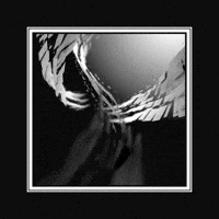 Geometry Border GIF by xponentialdesign