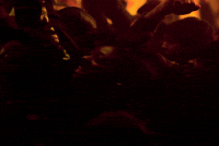 Hip Hop The Scythe GIF by Denzel Curry