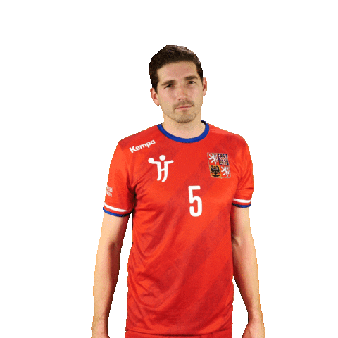 Cheer Hazena Sticker by Czech Handball