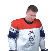 hockey wave Sticker by Národní tým