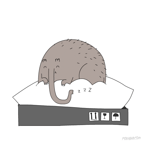 Animation Domination Fox GIF by gifnews