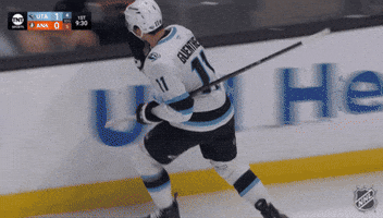Happy Fun GIF by NHL