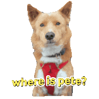 Moonspacedog Sticker by hamlet