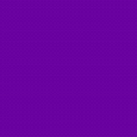 Animal Rights GIF by PETA