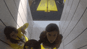 braingames GIF by FOX Networks Group Greece