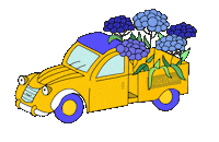 Provence Sticker by L'Occitane