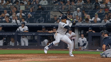 Major League Baseball Sport GIF by MLB