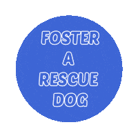 Trd Fosterdog Sticker by The Rescued Dog