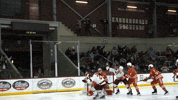 Ice Hockey Celebration GIF by Norwich University