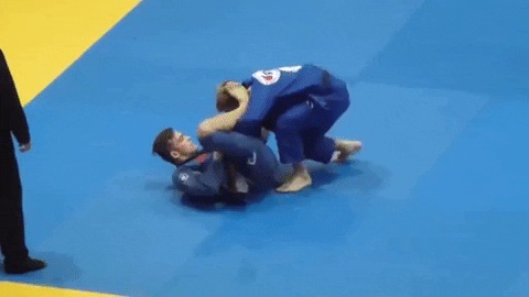 TFSMatt giphygifmaker GIF