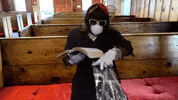 Mask Church GIF by Robert E Blackmon
