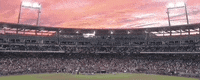 College World Series Baseball GIF by NCAA Championships