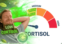 Relax Stress GIF