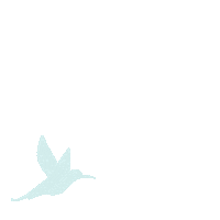 TrinaDG bird fly volar pajaro Sticker