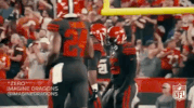 Myles Garrett Football GIF by NFL