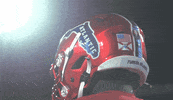 Florida Atlantic Football GIF by FAU Athletics