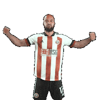 Premier League Soccer Sticker by Sheffield United Football Club